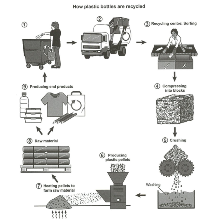 IELTS Academic Writing Task 1: Recycling Plastic Bottles - Educatorian