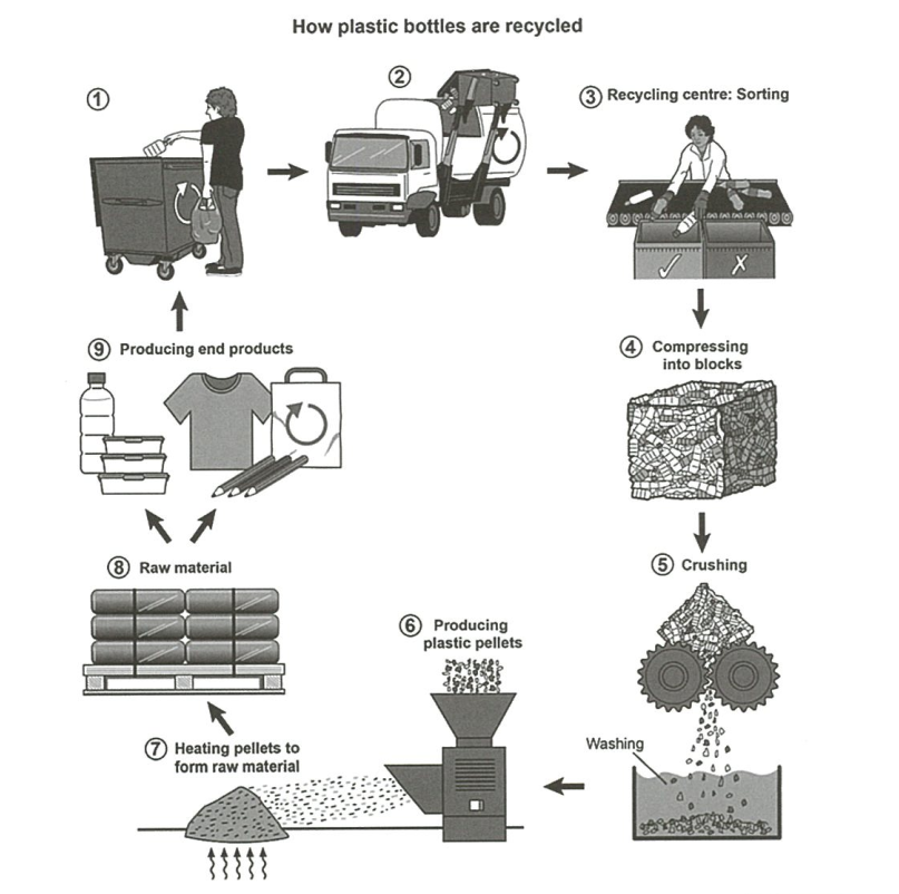 IELTS Writing Academic Task 1 Diagram - Recycling Plastic Bottles - Test