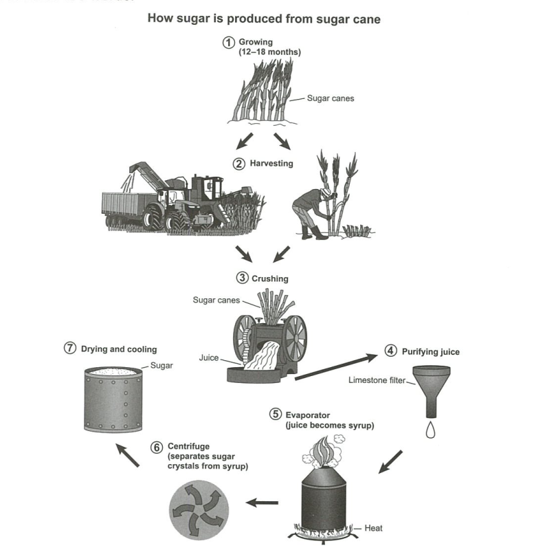 IELTS Cambridge 16 Writing Task 1 - Test 3 - Academic - Sugar Production - Educatorian - Prompt