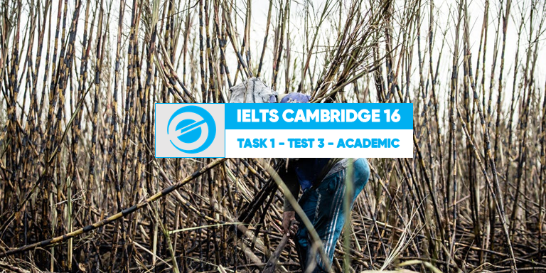 IELTS Cambridge 16 Writing Task 1 - Test 3 - Academic - Sugar Production - Educatorian
