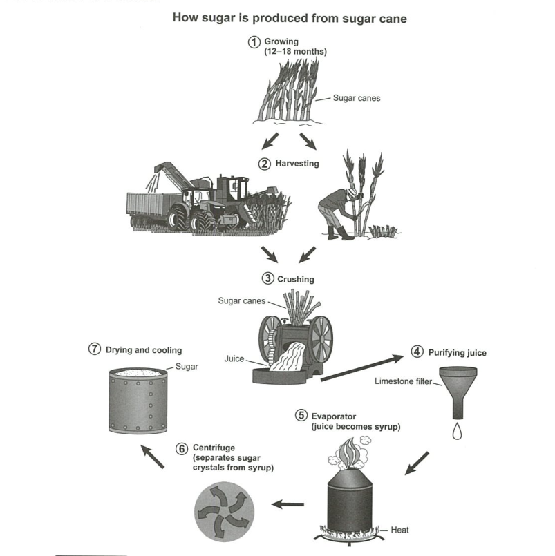 Educatorian - IELTS Academic Writing Task 1 Sugar Production